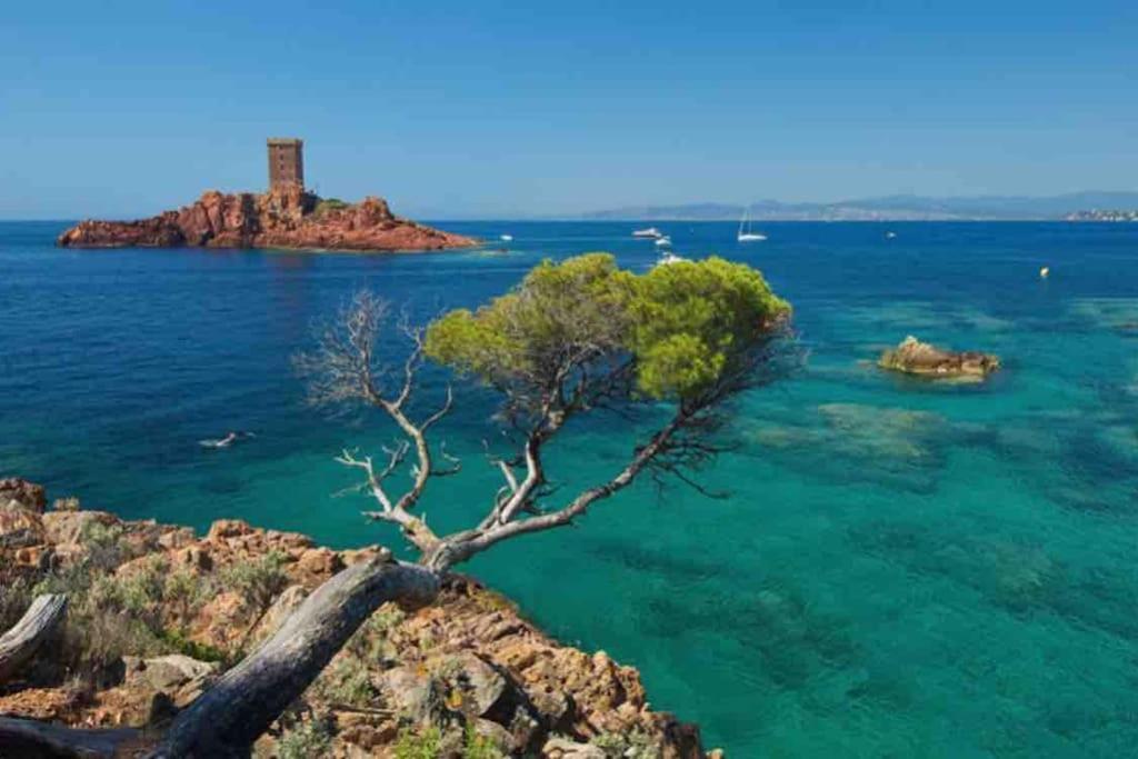 Mobilhome A Frejus A 15 Minute De La Mer Sur Terrain Independant ภายนอก รูปภาพ